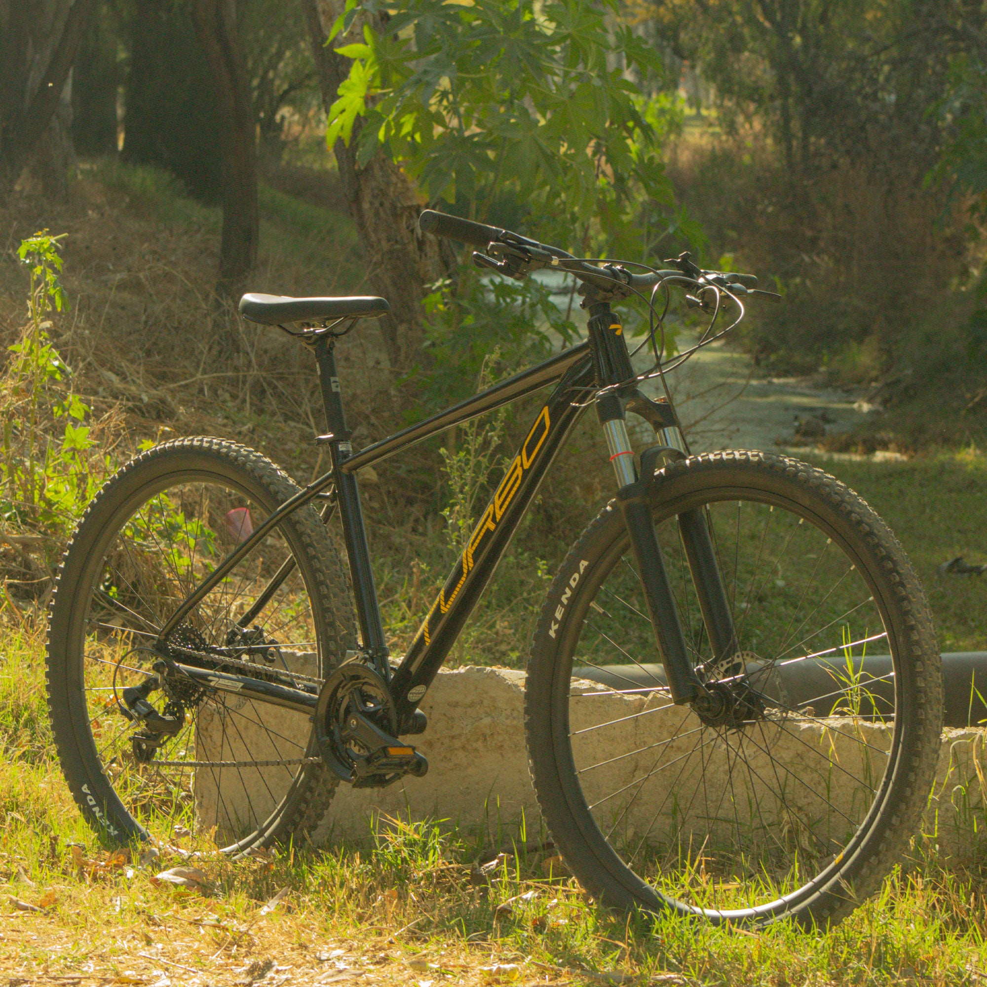 Bicicleta Turbo Mezquite 29"