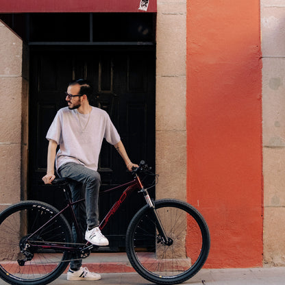 Bicicleta Turbo Agave 29"