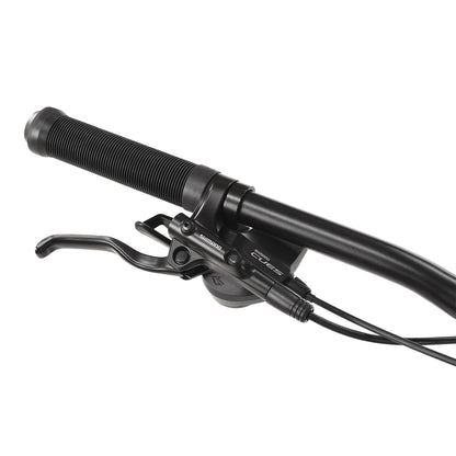 Bicicleta Turbo Armadillo 29"
